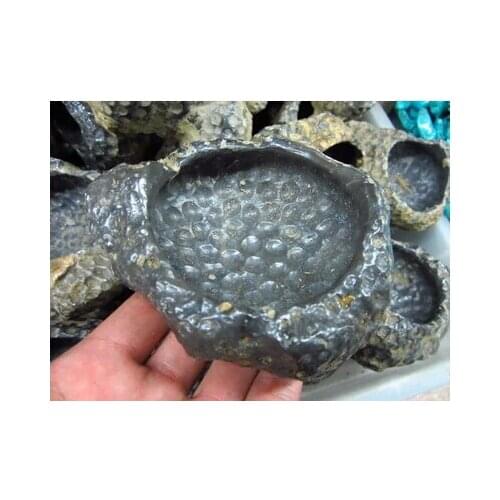 200g Natural black coral ashtray decoration lucky free shipping