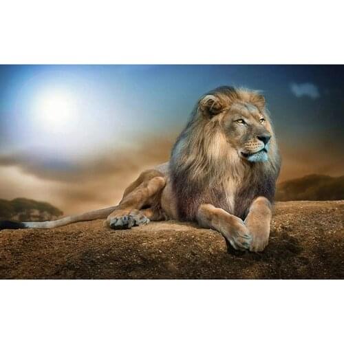 CraftArtGo 5D DIY Diamond Embroidery lion Full Square Round Rhinestone Mosaic Painting Cross Stitch Flowers Diamond Kit