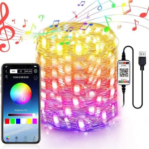 Bluetooth Light String Mobile Phone APP Copper Wire Light String Remote Control Outdoor/Living Room Decoration Strip Lights