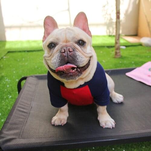 Dog Bed Dogs Cool Breathable Bed Net Mats Moisture-proof Sleeping Sofa for Pet Beds Dog Beds for Large Dogs Pets Accessories Mat