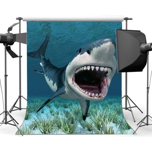 Cartoon Shark Backdrop Underwater World Green Grass Aquarium Ocean Sailing Photography Background