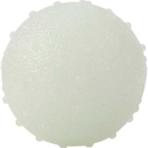 1pc Pet Toy Bite Resistance Interactive Funny Luminous Teething Toys Chew Toys Ball Training Toy for Puppy Dog