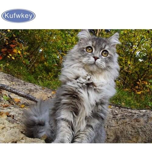 5D DIY Diamond Painting Maine Coon in the forest kats forest 3D Diamond Embroidery Cross Stitch Needlework Home Decor