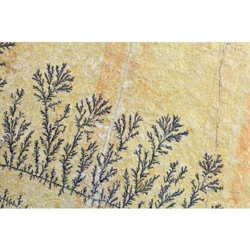 Dendritic mineral slate rock stone nearly 10x7x2 cm nearly 200-300 gram decorative 1 pcs stone like fossil