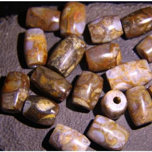 Nature Raw Stone Conch Fossil Dzi Bead Rare Gzi Bucket Drum Old Mine The oldest primitive Tibetan Himalayas cultural worship