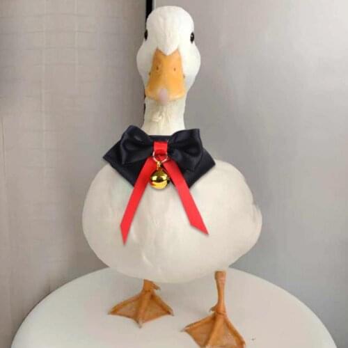 Handmade Adjustable Pet Neck Ring Chicken Duck Parrot Birds Bell Collar Bow Tie Black And White Handover Decoration Small Tie