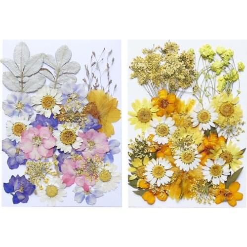 Dried Flower Natural Pressed Dried Flowers for Resin DIY Jewelry Making Scrapbook Craft