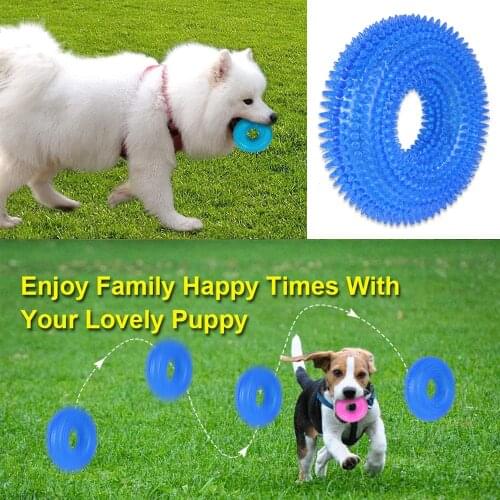 Dog Bite-resistant Toy TPR Barbed Ring Bite-resistant Teething Interactive Toy for Dogs Pet Sounding Bouncing Toy for All Dogs
