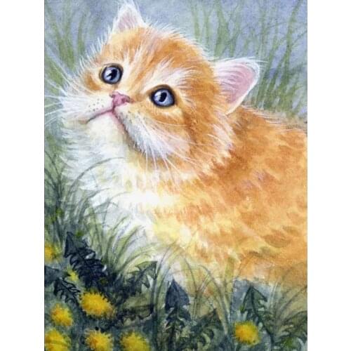 Full Drill 5D Diy Diamond Painting Cat Rhinestone Diamond Embroidery Animal Cross Stitch Flower Mosaic Home Decor Handmade Gift