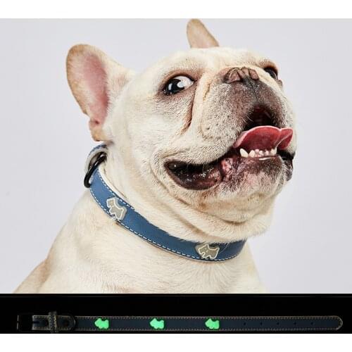 Dog Luminous Collar Pet Shiny Leather Personalized Collar Pets Accessories Puppy Fashion Necklace French Bulldog Supplies Leash