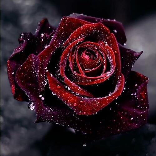 Explosion models 3D DIY Diamond Painting Flowers Icon Diamond Embroidery Household Decoration Fabric Resin Craft Flower Rose H06