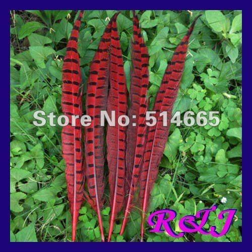 Wholesale dyed feather pheasant feathers 50PCS 25-30cm 10-12inch red pheasant tail feather Free Shipping