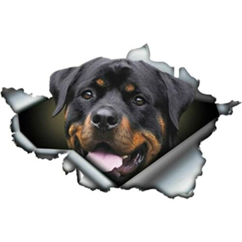 Personality Pet Dog Car Sticker Funny Rottweiler Rott Torn Metal Automobiles Motorcycles Vinyl Decal Cover Scratches Waterproof