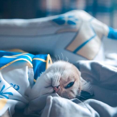 Saber kitty cat dog pet supplies autumn and winter clothing sprouting fate cloak cos clothing leisure cat trench costume cape