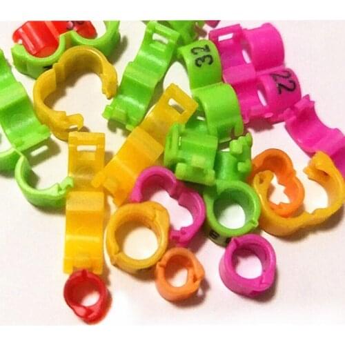 2018 pigeon Bird clip ring 2.7mm 3mm 4mm 4.5mm 5mm Plastic foot rings Colorful birds, Acacia birds pigeon All kinds of bird