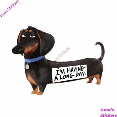 The Ssecret Llife of A Pet Dog for Trunk Laptop Fuel Tank Cap Colorful Car Stickers and Decorative Decoration PVC15x11cm