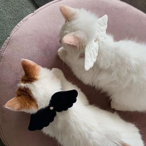 Cute Necklace Small Dog Cat Little Angel Wing Collar Personalized Necklace Traction For Small Puppy Kitten Pet Products