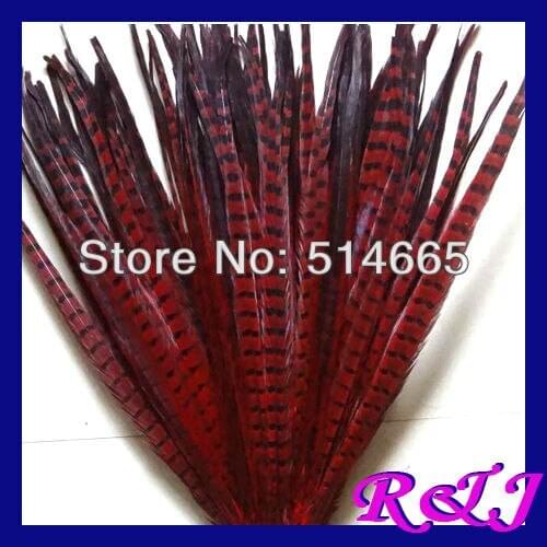 EMS Free Shipping 100pcs/lot ringneck pheasant Feather pheasant tail feather RED color 22-24 inches 55-60cm