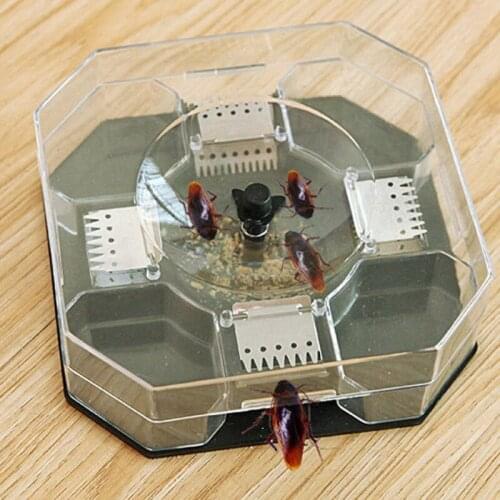 Household items kitchen living room cockroach trap clear lid box cockroach trap killer box See-through traps 1pc