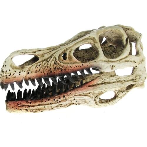 1Piece Dinosaur Skull Model Velociraptor Fossil Resin Skull Dinosaur Polystone Statue Skeleton Figurine For Office Desktop Decor