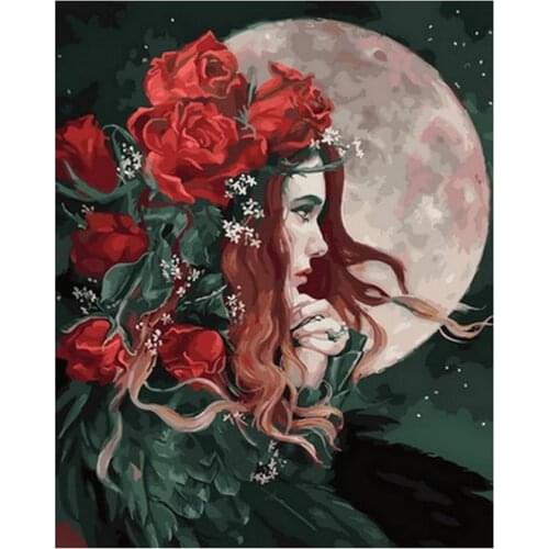 Frameless diy painting by numbers wall decor diy painting on canvas for home decor 4050cm rose lady