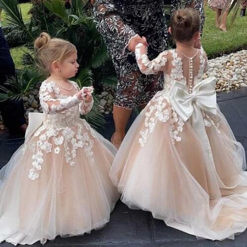 Gardenwed Flower Girl Dresses EmbroidereTulle Puffy Baby Wedding Party Lace Applique Kid Birthday Dress First Communion Gown