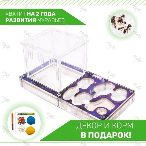 Ant Universe Products For Beekeeping