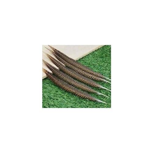Free shipping wholesale 50pcs natural Pheasant Tail feathers 30-35cm /12-14inch A variety of decorative