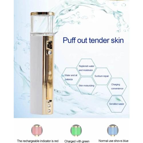Product Portable Handy Facial Hydrometer Facial Nano Spray Beauty Instrument