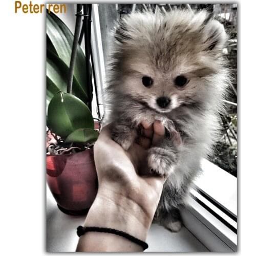 Puppy Diy Diamond painting Cross stitch Animal 5d Square\Round Diamond mosaic Rhinestone Full Diamond embroidery Pomeranian dog