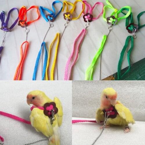 Anti-bite Flying Training Rope Parrot Bird Pet Leash Kits Ultralight Harness Leash Soft Portable Pet Playthings Random