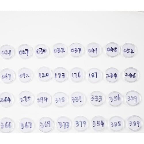 Animal Crossing Card (271 to 300) NFC 215 Card Work for NS Games Series 3