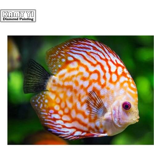New 100% Square&Round drill Diamond Discus fish Cross Stitch 3D Diamond Painting DIY Diamond Embroidery Needlework LWR