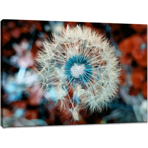 Blossom Close up Picture Print Nature White Flower Printed Painting Canvas Art Modern Giclee Wall Drop shipping