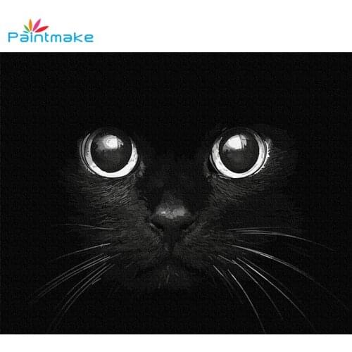 Paintmake Animal DIY Paint By Numbers for Adult Oil Painting On Canvas Black Cat For Home Room Decor Wall Art Picture