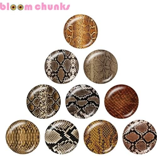 Snake pattern 10pcs mixed 12mm/18mm/20mm/25mm Round glass cabochon jewelry flat back Making findings A4621