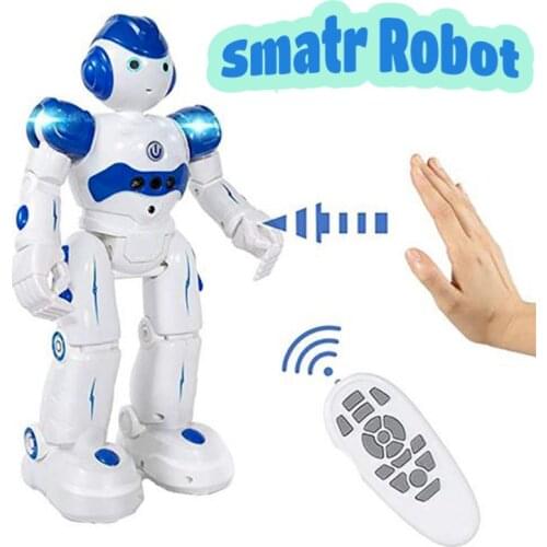 BEIGNETS Radio Controlled Robots