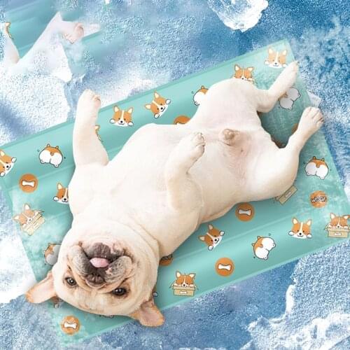 Wholesale Summer Pet Ice Mat for Teddy Dog Cartoon Cooling Mat Soft Ice Gel Doghouse Mat Pet Supplies Dog Accessories