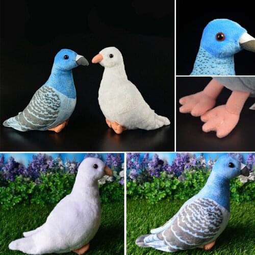 Pigeons Bird Plush Toy Real Life Simulation Animal Dolls for Children Extra Soft Stuffed Pigeons Toy Personalized Gift 22cm