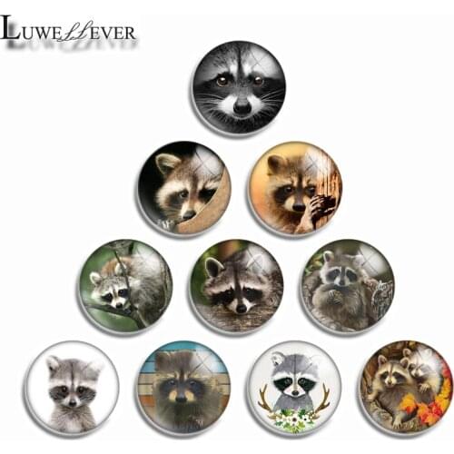 10mm 12mm 14mm 16mm 20mm 25mm 487 Cute Raccoon Mix Round Glass Cabochon Jewelry Finding 18mm Snap Button Charm Bracelet