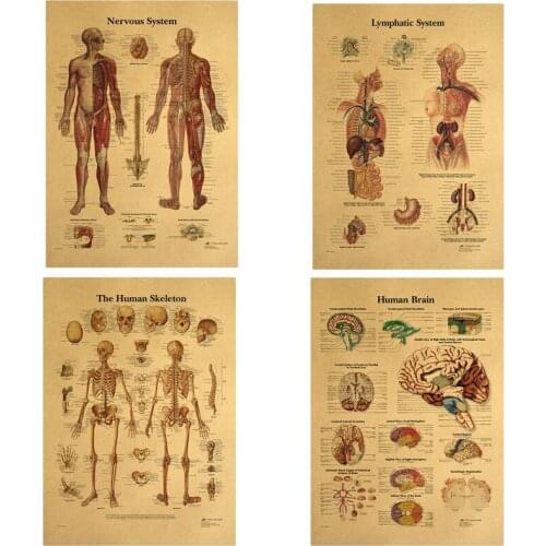 Human Anatomy Knee Joint Foot Posters Spinal Column Chart Prints Canvas Painting Wall Art for Room Home Decoration 42x30cm