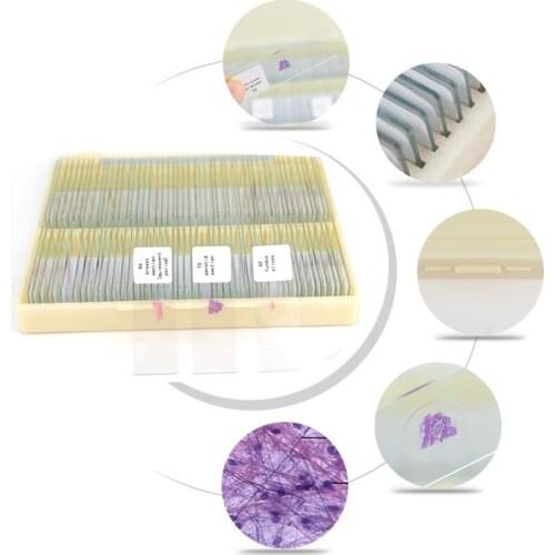 100PCS Human Tissue Sections Histology Prepared Specimen Microscope Slides Human Normal Tissue Embryo Chromosomes