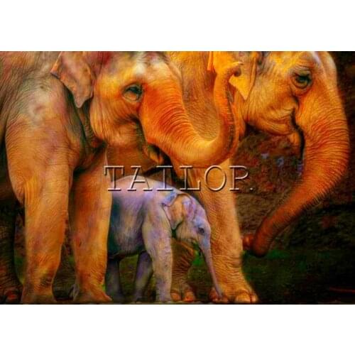 Dirll drawing cuadros full square embroidery Cross stitch 5d diamond painting kit set Elephant color animal complet mosaic art