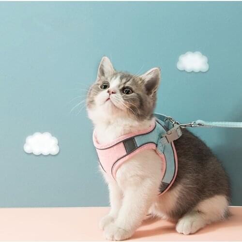 Cat Harnesses with Leashes Set Escape Proof Cat Accessories Adjustable Reflective Soft Mesh Vest Fit Kitten Dogs Rabbit Outdoor