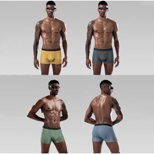 4 Pcs/Lot New High-End Mens Underwear Graphene 3A Antibacterial Underwear Sexy Soft Comfortable Modal Man Boxer Briefs