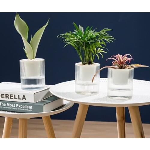 Y1UU Self Watering Plastic Plant Pot with Rope Clear Water Container 2 Layer Planter Round Basin for Flower Hydroponics Plant