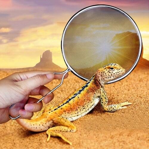 Reptile Sand Shovel Sieve Filter Stainless Steel Scoop Pet Animal Case Cleaning