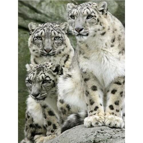 5d Animal Embroidery Mosaic Craft Leopards Diamond Painting Kits Beads Picture Wall Paper Rhinestones Drawing Christmas Gift New