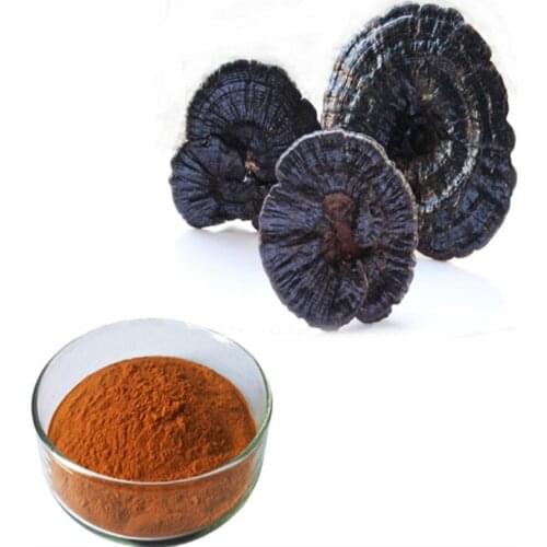 300gram Organic Reishi Mushroom Broken Spore Powder 98% Wall-breaking