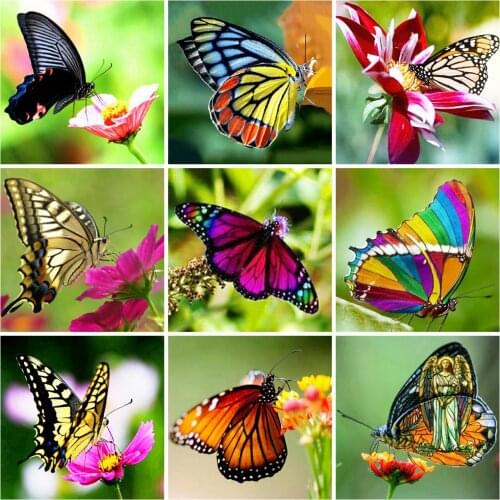 Evershine 5D DIY Diamond Painting Butterfly Full Square Rhinestone Mosaic Diamond Embroidery Animals Cross Stitch Home Decor
